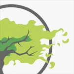 Web Design / New Edition website
