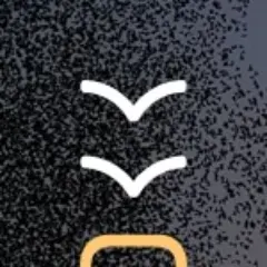 Graphic Design / Flokk logo