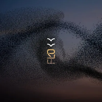 Graphic Design 1 of 2 • Flokk logo