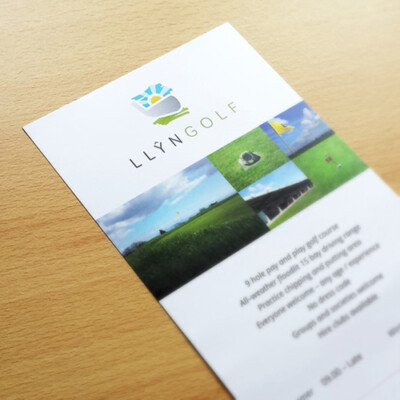 Graphic Design 1 of 2 • Llyn Golf logo