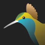Graphic Design / Serekinti logo