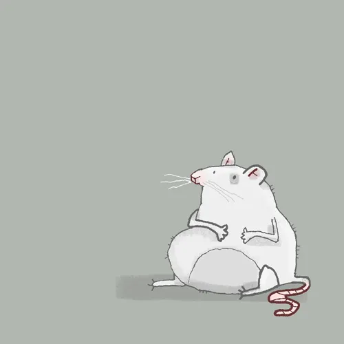 Illustration 2 of 2 • Digestive Health illustration