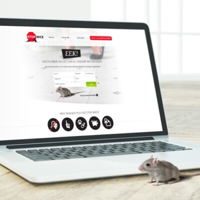 Web Design 1 of 3 • Stop Mice website