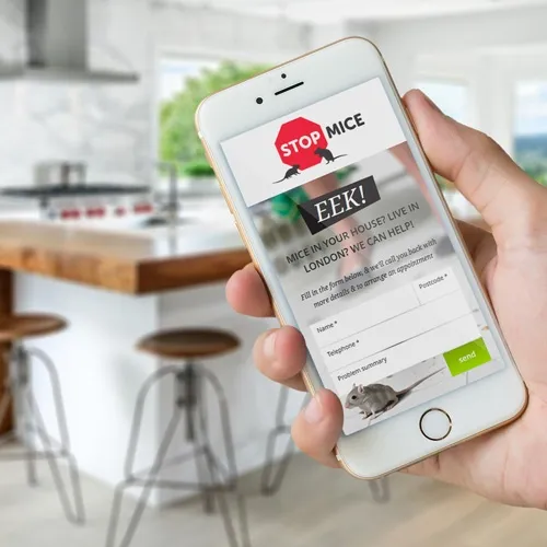Web Design 3 of 3 • Stop Mice website